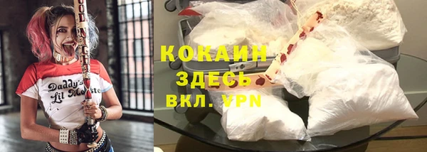 стафф Володарск
