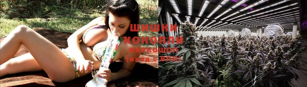 шишки Волоколамск