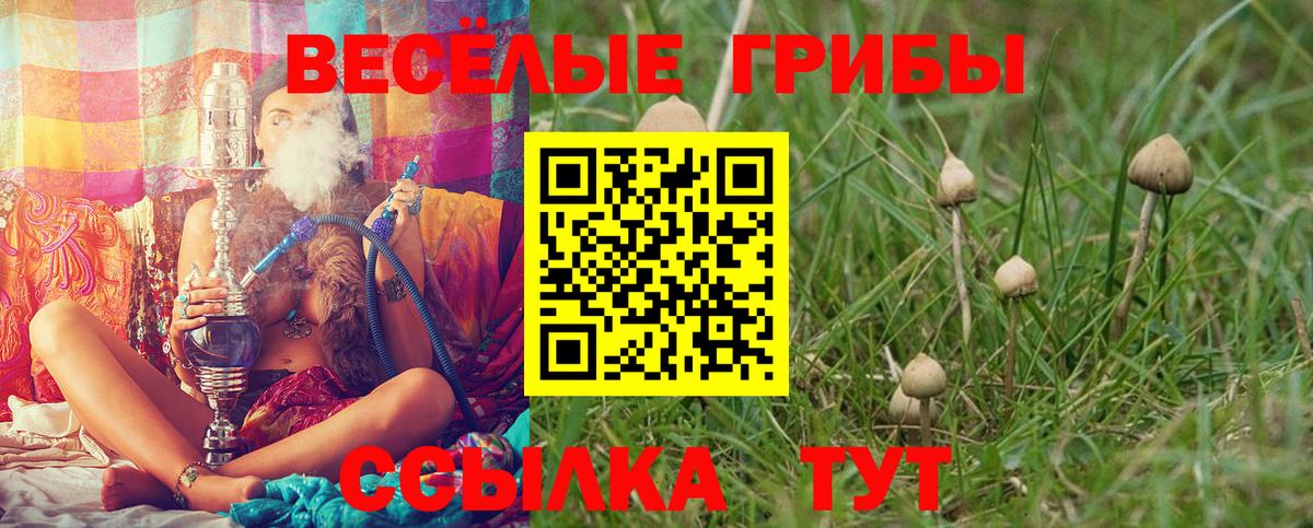 Псилоцибиновые грибы MAGIC MUSHROOMS  где продают наркотики  Бугульма  Вход с VPN 