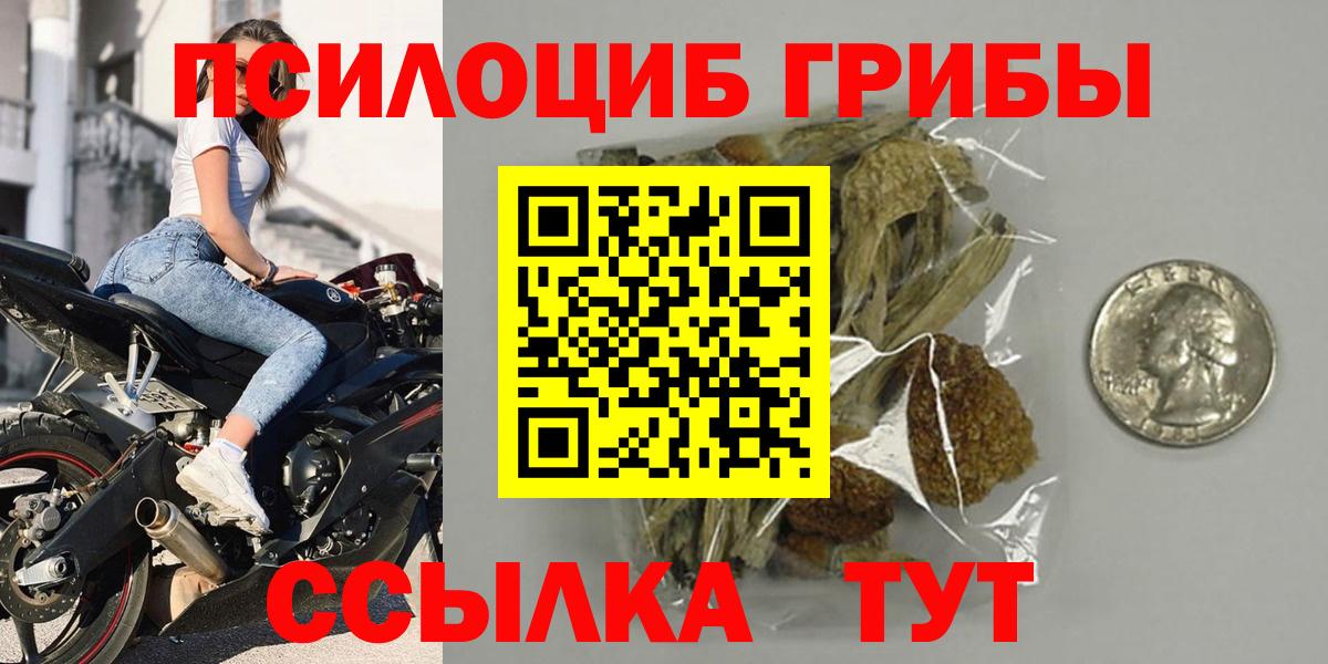 Галлюциногенные грибы Psilocybe Бугульма